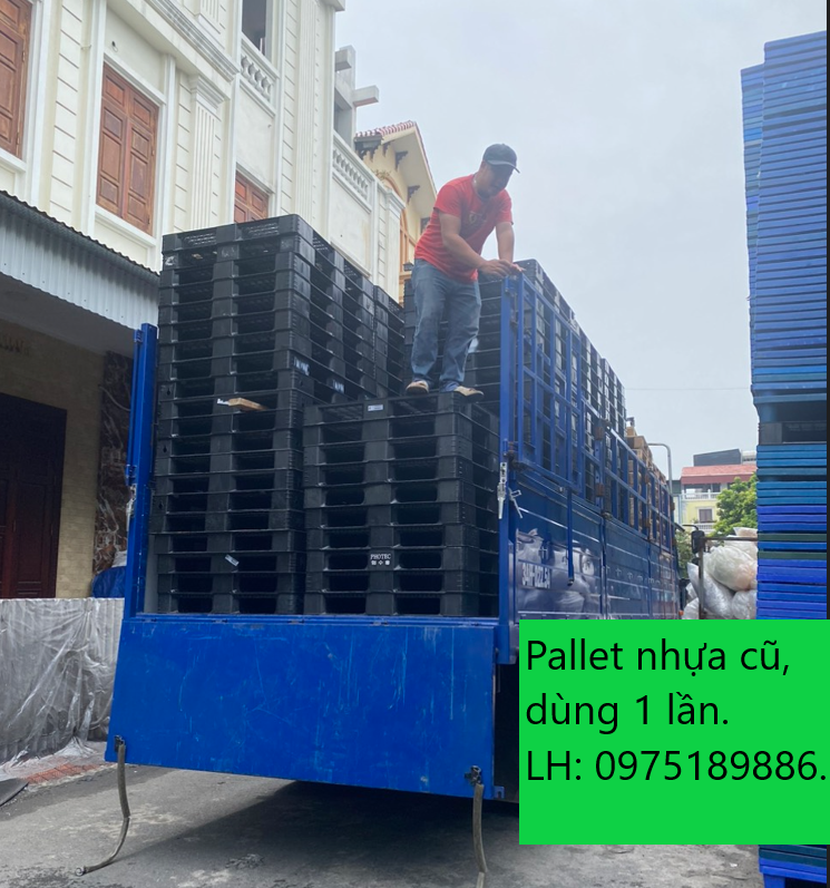 Pallet nhựa cũ giá rẻ nhất cho doanh nghiệp tại Hải Dương