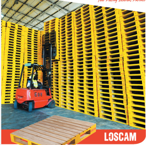 Mua Bán Pallet Gỗ Giá Tốt Nhất - Công Ty Cung Cấp Sỉ Pallet Gỗ