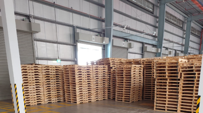 TOP 8 Đơn Vị Cung Cấp Pallet Gỗ Hải Phòng Chất Lượng