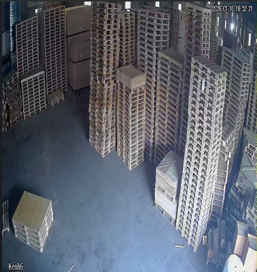 Pallet ván ép tại KCN Phúc Điền, Lương Điền, Hải Dương