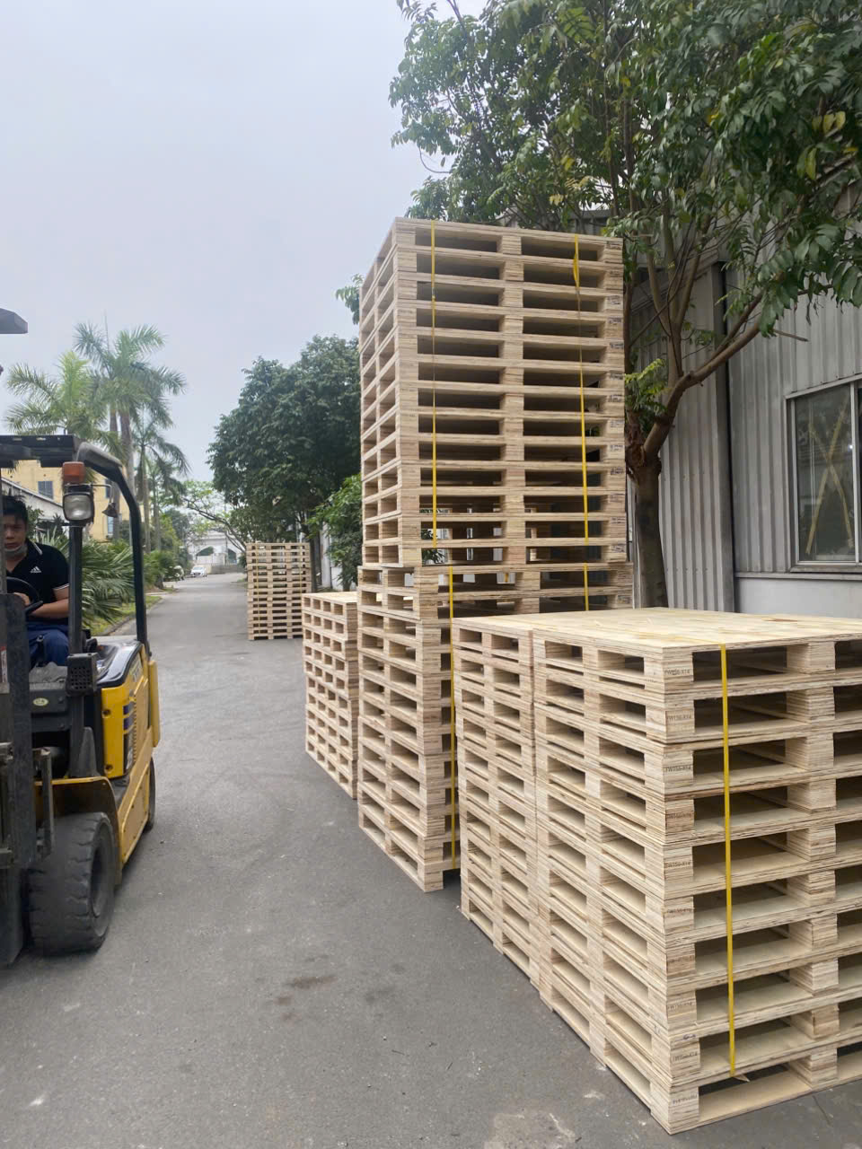 Sản phẩm Pallet Từ Sơn