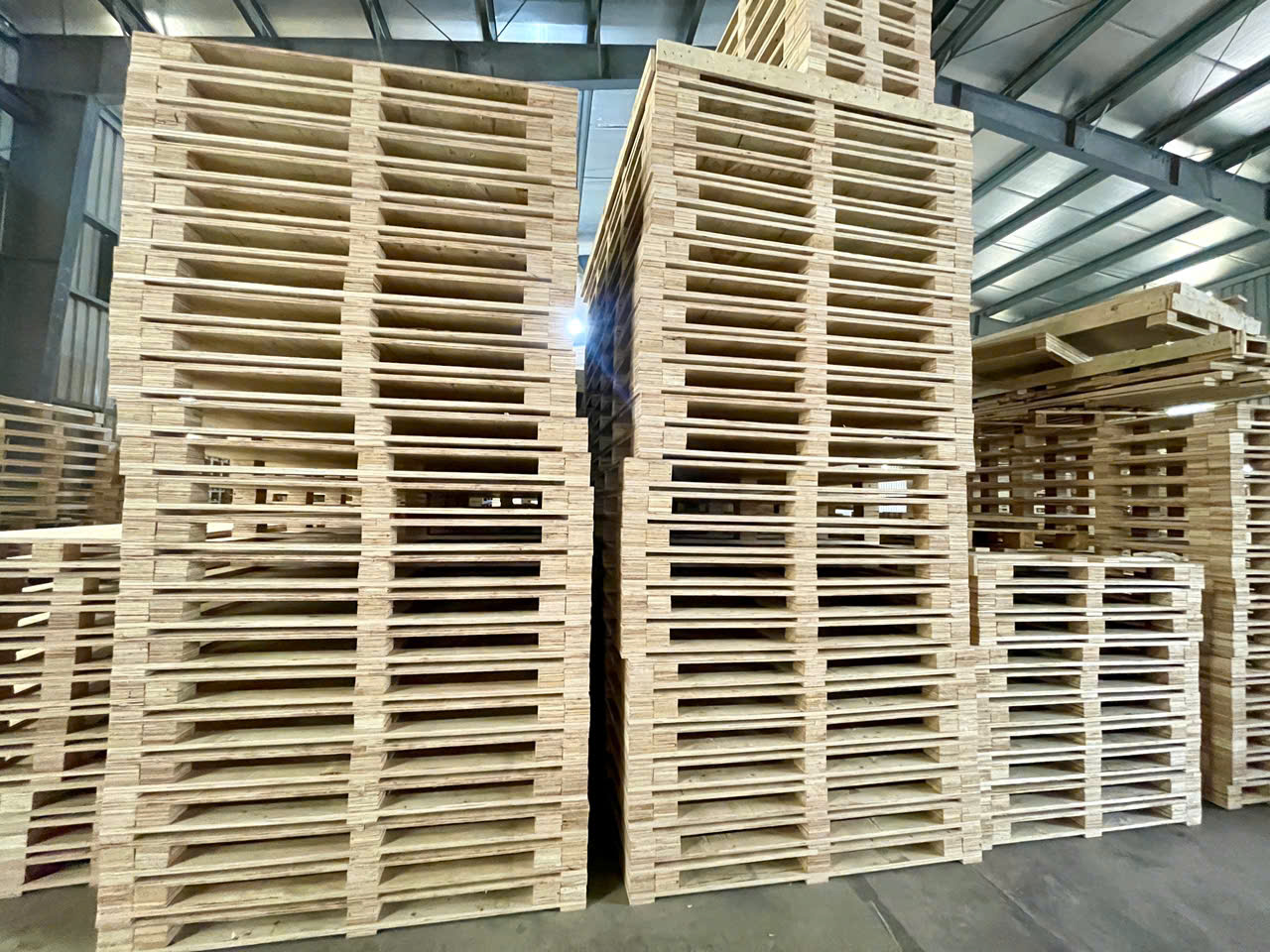 Xưởng Sản Xuất Pallet Gỗ Bắc Giang - Pallet gỗ BNG