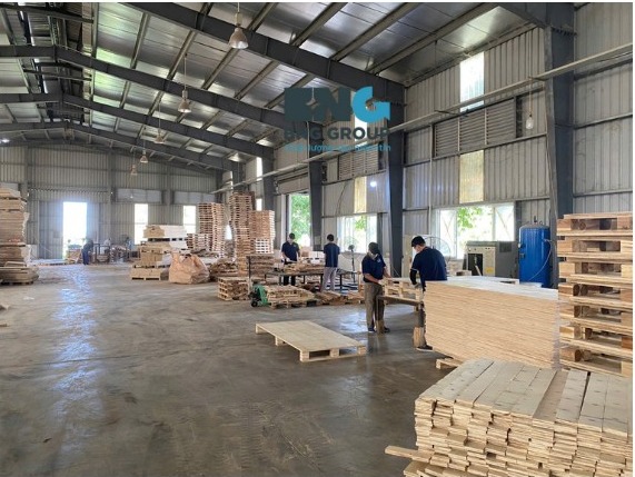 Nhà máy pallet hàng đầu Bắc Ninh