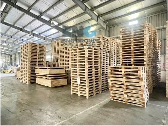 Top 9 Nhà Cung Cấp Pallet Uy Tín Tại Hải Dương