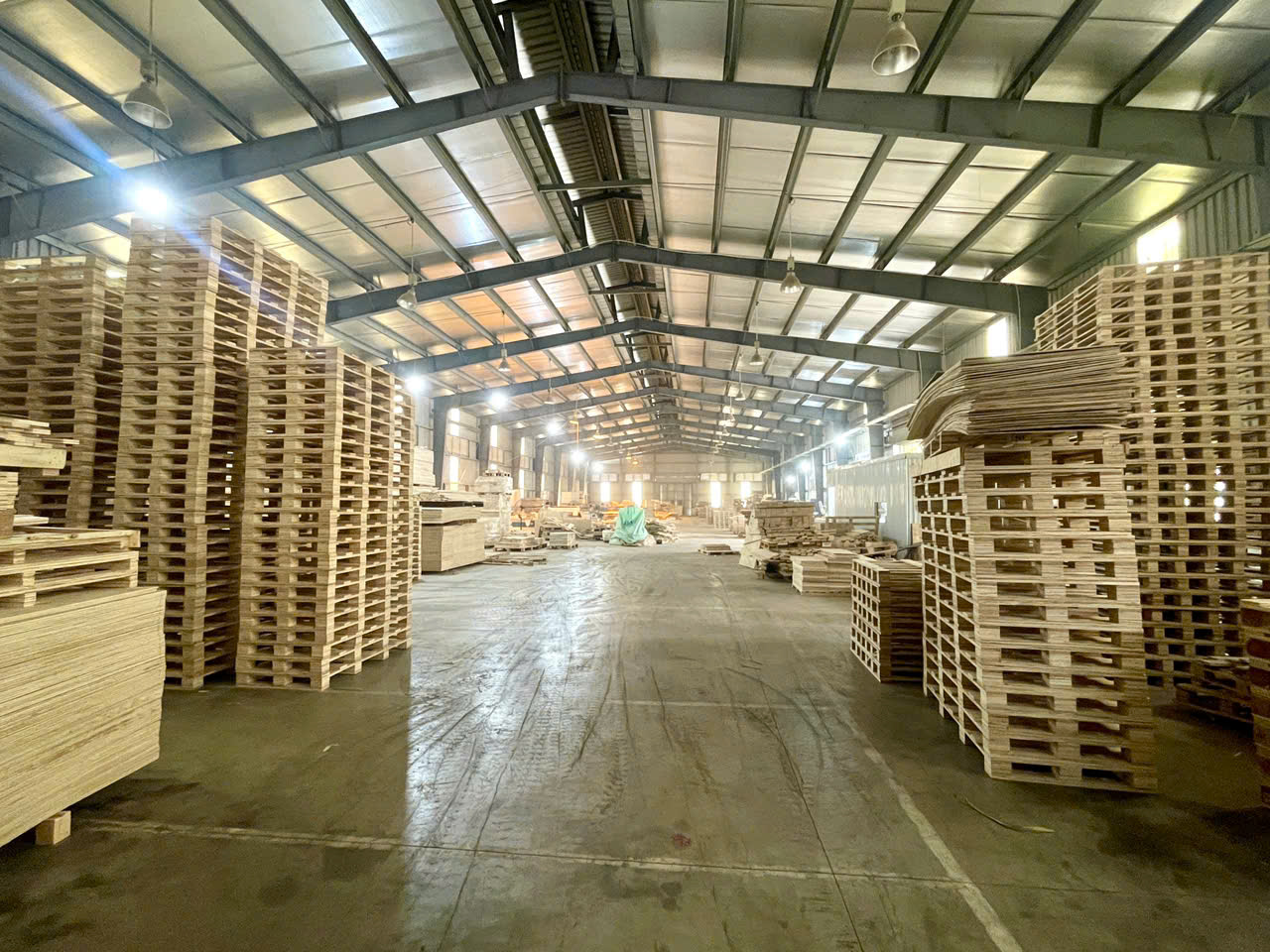 Pallet gỗ miền Bắc ISPM 15, đạt chuẩn xuất khẩu | BNG GROUP