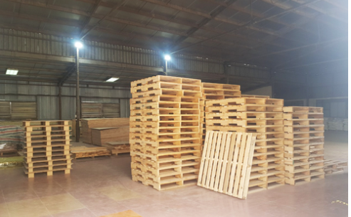 Cung cấp pallet gỗ tại Hưng Yên - 0977248998