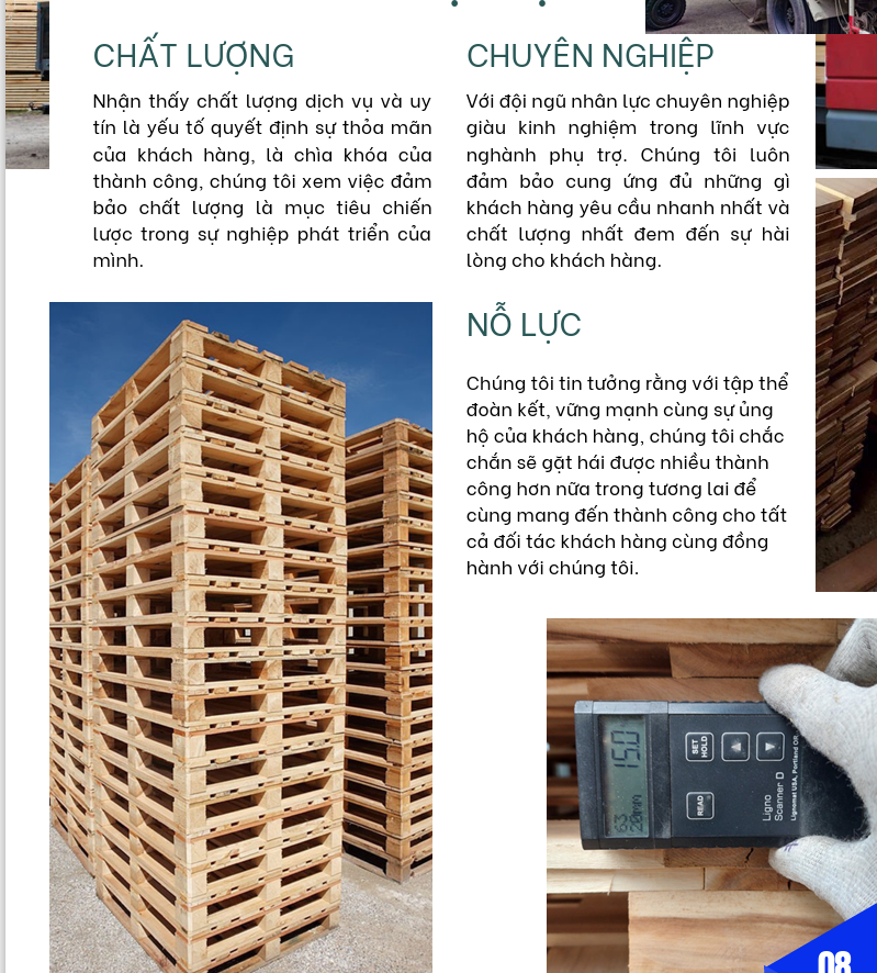 XƯỞNG PALLET KHU CÔNG NGHIỆP ĐẠI AN - HẢI DƯƠNG