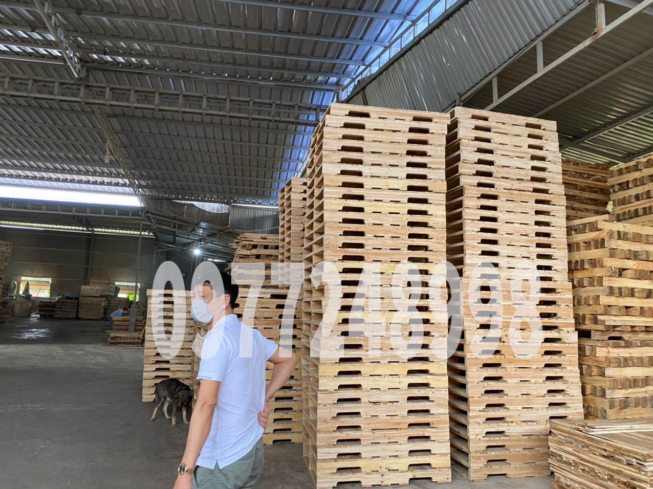 Đóng Pallet Gỗ Theo Yêu Cầu Chất Lượng và Tiết Kiệm Tối Đa