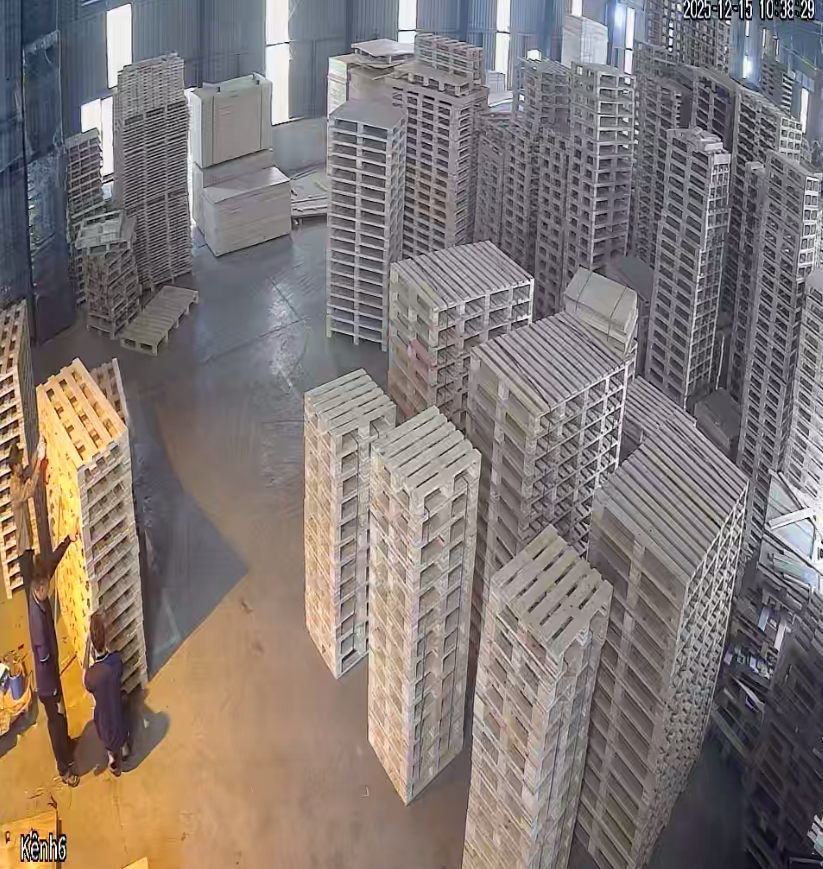 Xưởng sản xuất pallet gỗ, thùng gỗ xuất khẩu tại Thanh Miện, Hải Dương