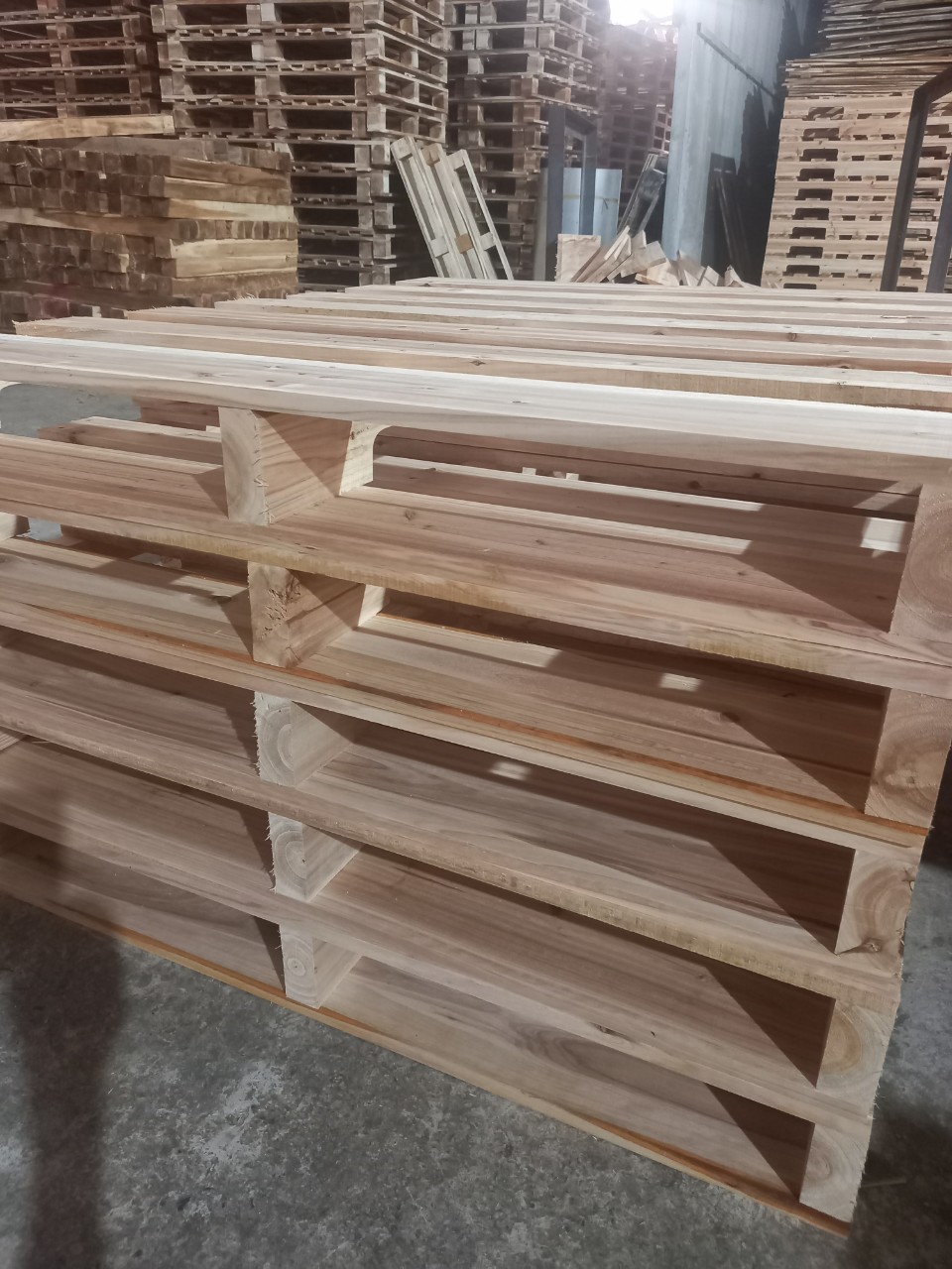 Pallet gỗ thông mới