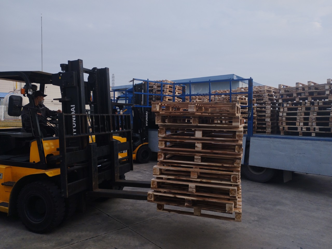 PALLET GỖ GIẢI PHÁP HOÀN HẢO CHO VẬN CHUYỂN VÀ LƯU TRỮ HÀNG HÓA  0977248998