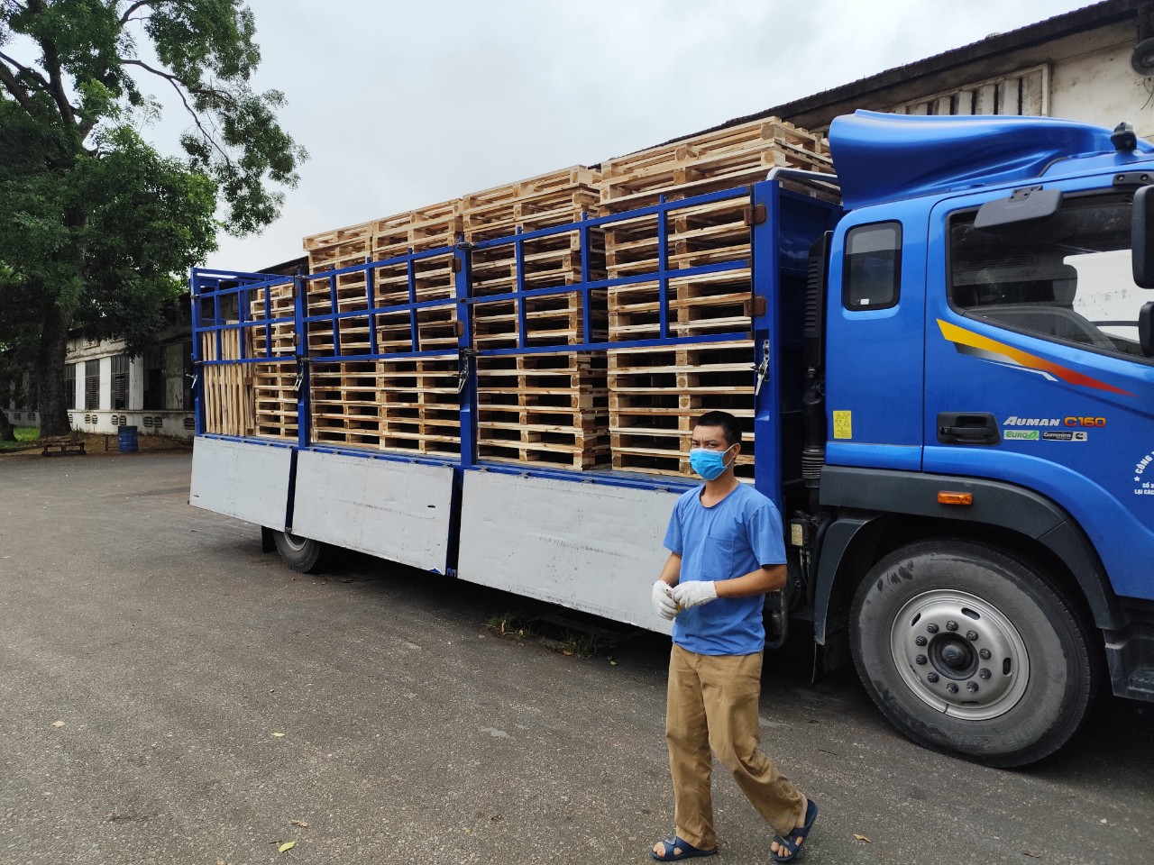 pallet ván ép ở tại tp. hải phòng