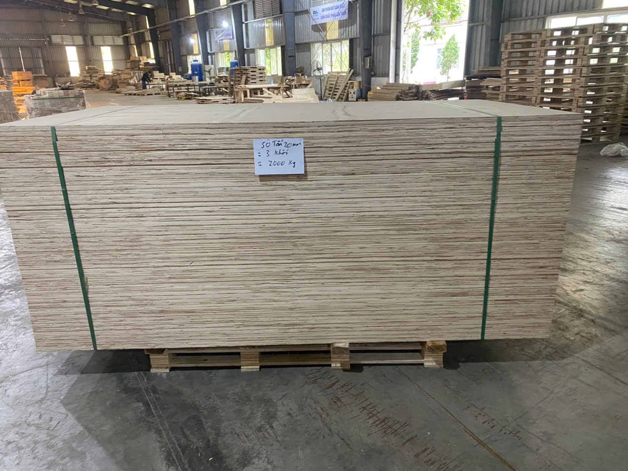 Test tải trọng pallet  0977248998