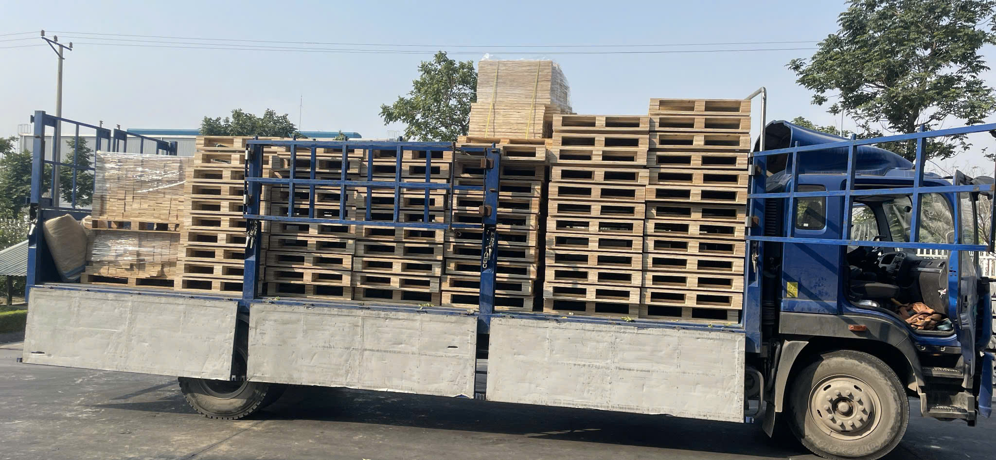 pallet mạ kẽm