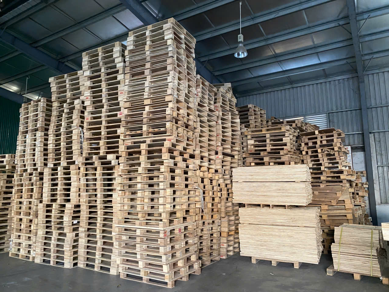 Bán pallet gỗ cũ tại Hà Nội mới đến 95%