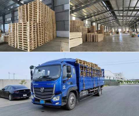 Sản xuất pallet keo tại Bắc Ninh