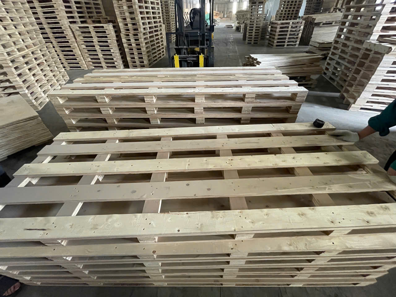 Pallet Gỗ Ván Ép Cao Cấp