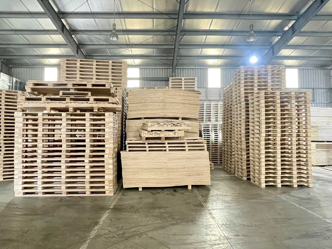 Pallet Gỗ Ép: Đặc Điểm, Quy Trình Sản Xuất, Giá Thành và Ứng Dụng