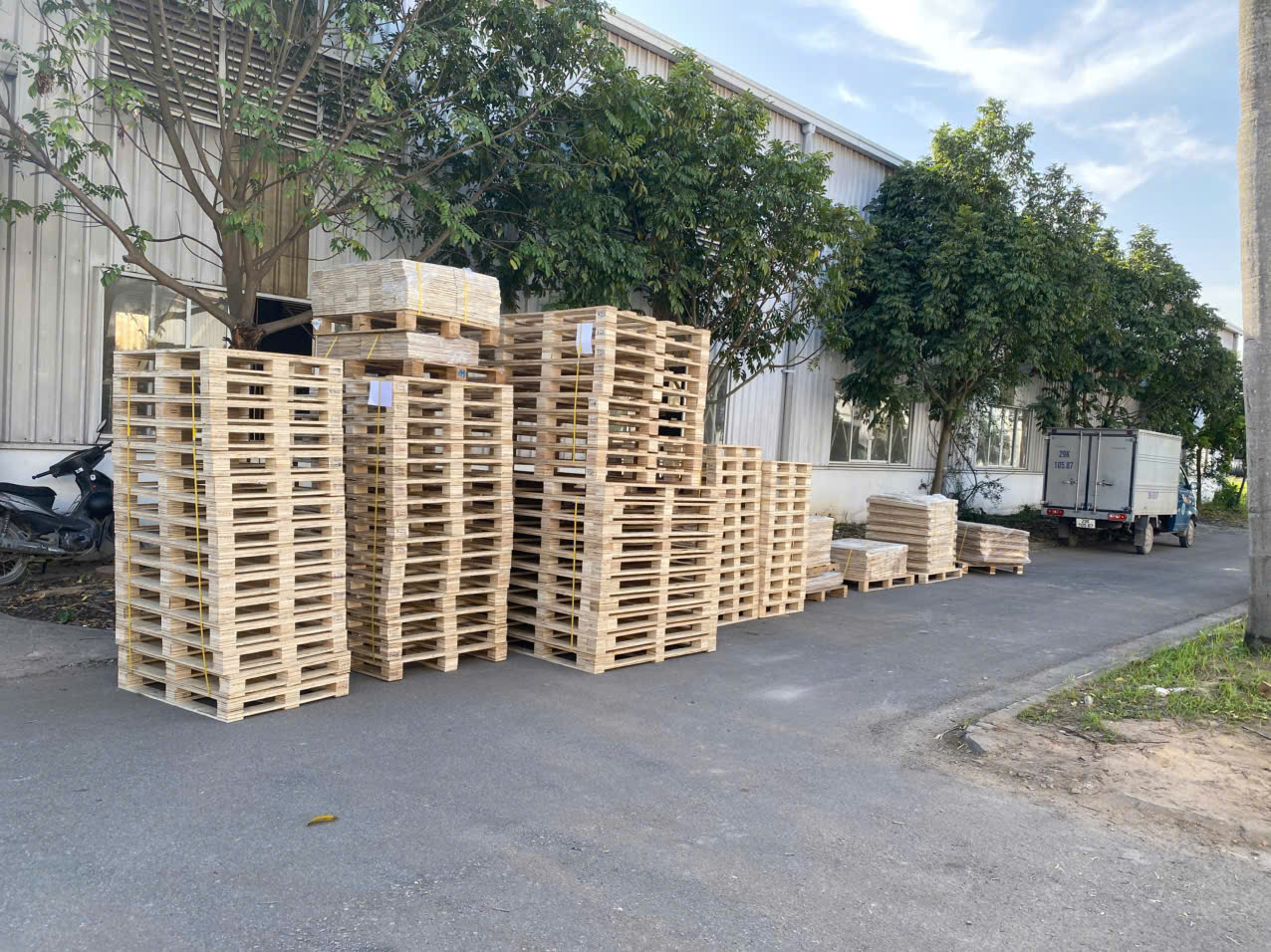 Pallet gỗ ép tại Hải Phòng