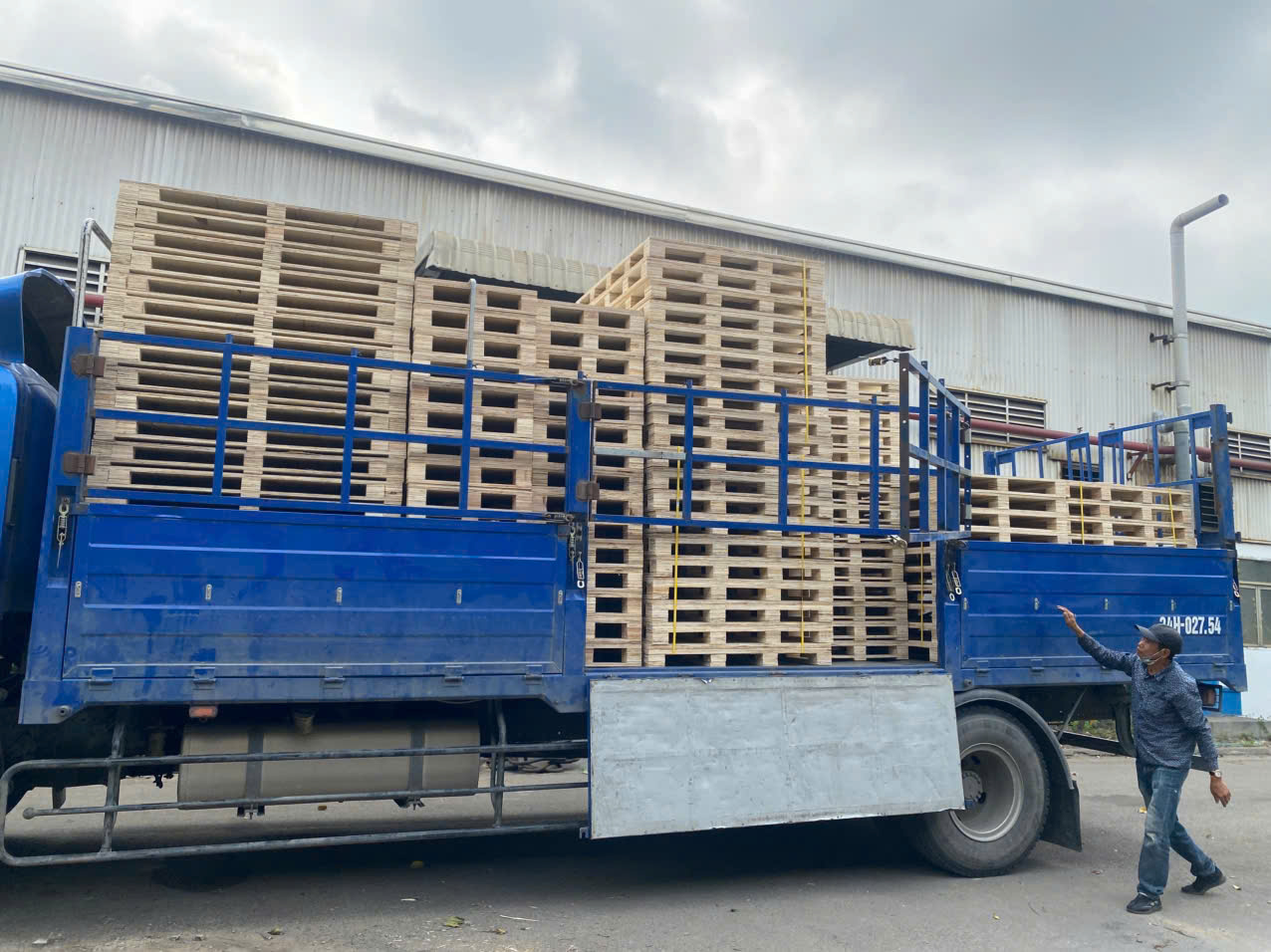 Pallet ván ép tại Hải Phòng