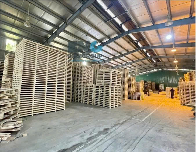 Pallet gỗ, thùng gỗ tại Khu công nghiệp Lý Thường Kiệt