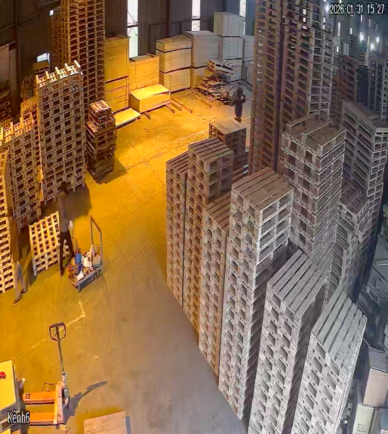 Pallet HT Hải Phòng – Xử Lý Nhiệt Đạt Chuẩn Xuất Khẩu ISPM 15 | BNG GROUP