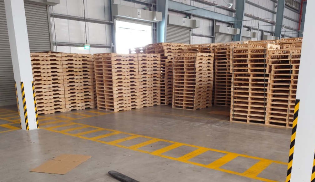 Pallet Gỗ Ép - Tổng Kho Lớn Nhất Miền Bắc 0977248998